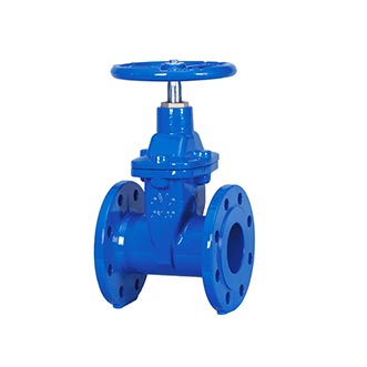 Gate Valve